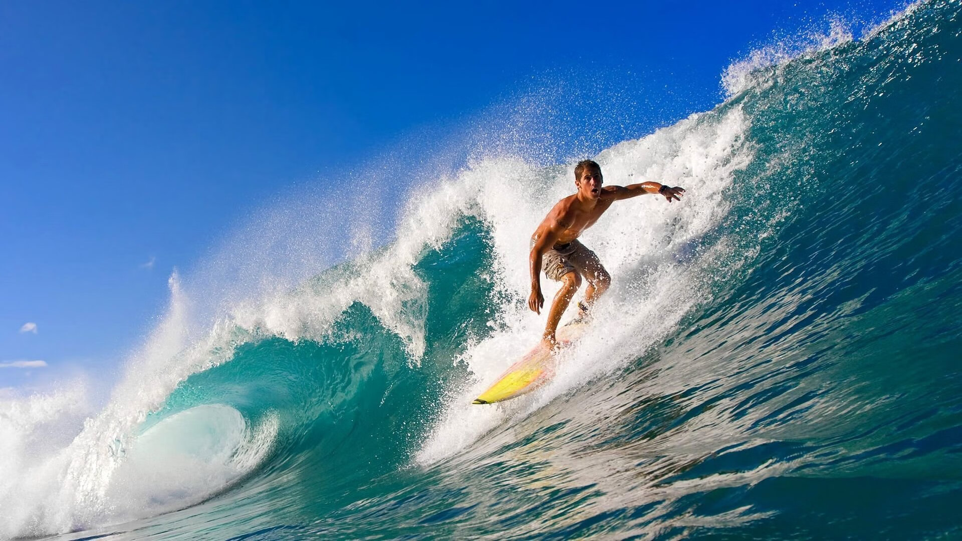 校园运动会精彩瞬间